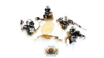 Auburn Tigers Football Desktop Wallpaper Collection Dark Brown Hairs