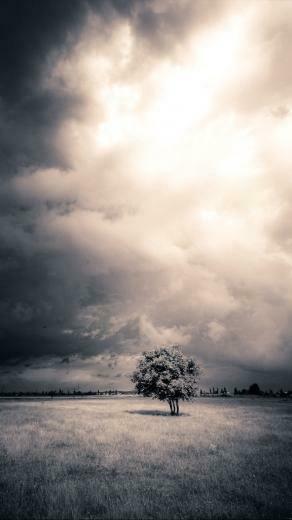 Wallpaper Of The Week Sky