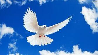 Peace Wallpaper Photo Desktop