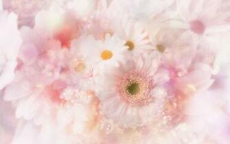 Flower Wallpaper