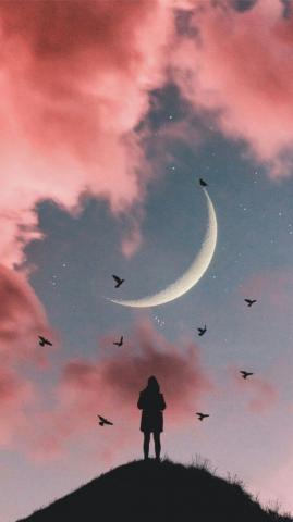 Image About Pink In Wallpaper By Crazy People