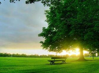 Samsung Galaxy S3 Animated Wallpaper Elegance