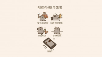 Cat Meme Wallpaper