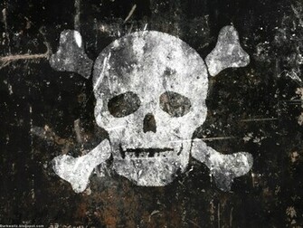 Bones Background Texture Photo Skull And