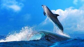 Wallpaper HD For Your Desktop Smartphone Tablet