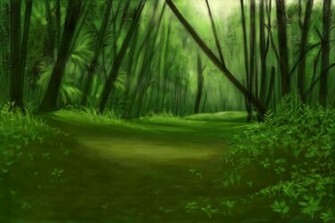 Beautiful Forest Picture Fresher Jobs