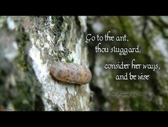 Proverbs Wallpaper Christian And Background