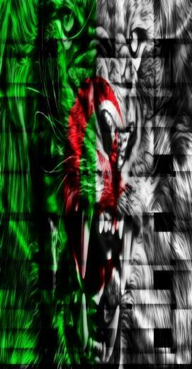 Algeria Flag HD Wallpaper For Smartphones And Faisalbinali