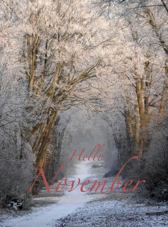 Hello November Welcome