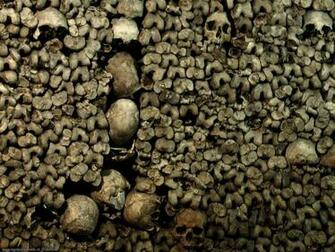 Skulls And Bones Wallpaper Image Gallery