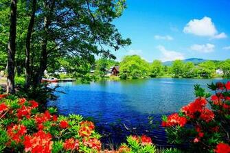 Beautiful Nature Wallpaper Full Desktop Background