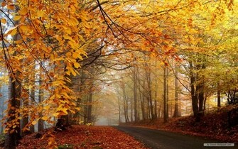 Wallpaper Autumn Landscape Html