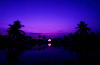 Purple Sunset Wallpaper