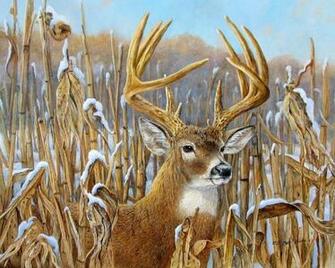 Big Buck Wallpaper