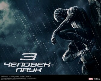 Spider Man Wallpaper And Image Pictures Photos