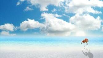 Flamingo On The Beach Wallpaper