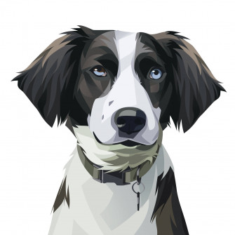 Dog Art Wallpaper
