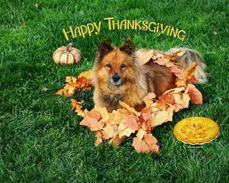 Thanksgiving Wallpaper By Kate Net