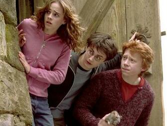 Harry Ron And Hermione Wallpaper