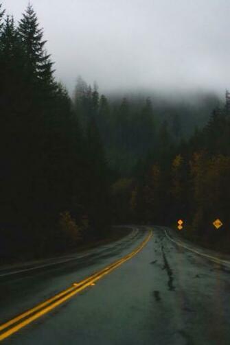 Wallpaper Rain Nature Travel Forest Road Wish Ger Explore Fog