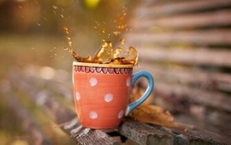 Splash Tea Cup Photography HD Wallpaper Happy