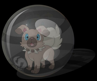 Rockruff Rattled And Blooned By Team Skull Kinipharian