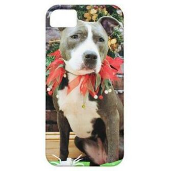 Christmas Pitbull Charm iPhone Cover