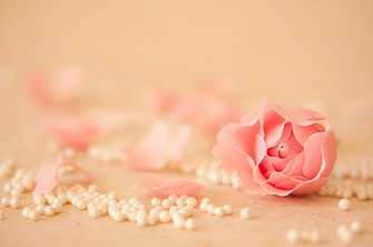 Wallpaper Rose Cute By Fatuu