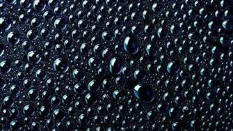 Water Drops On A Black Surface Wallpaper