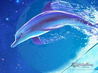 Cute Dolphin Wallpaper HD In Imageci