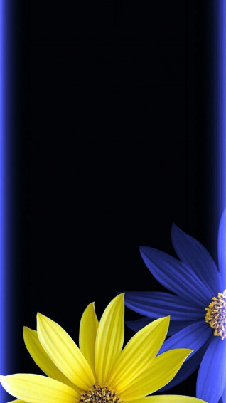Blue Yellow Black Floral Wallpaper Mobcup