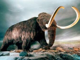 Mammut World Of Animals From The Past HD Wallpaper Wallpaper13