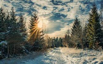 Winter Wallpaper