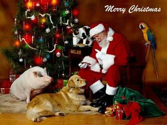 Christmas Santa And Animals Wallpaper Friends In Need Animal Rescue