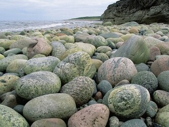 Stone Wallpaper