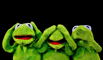 Kermit The Frog Computer Wallpaper On