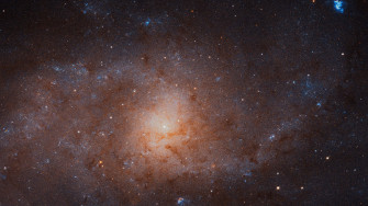Andromeda Galaxy 4k Wallpaper