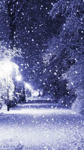 Winter Night iPhone 5s Wallpaper iPad