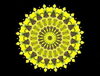 Circles Shapes And Perspectives From Altering Manipulating Image