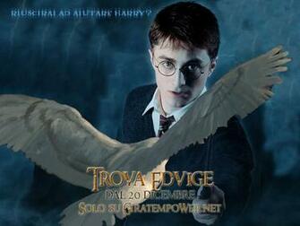 Harry Potter Wallpaper Photos Pictures