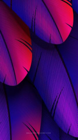 Wallpaper Abstract 3d Colorful 8k