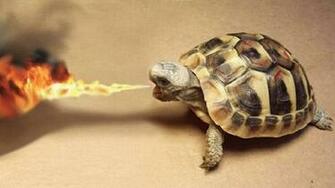Awesome Animation Wallpaper Creativefan