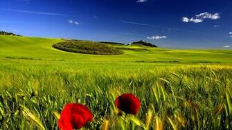 Open Field With Clear Skies Full 1080p Ultra HD Wallpaper