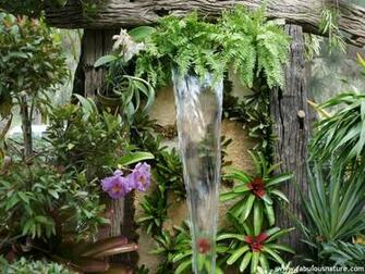 Wallpaper Of Tropical Flowers And Gardens