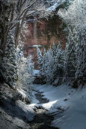 Winter Creek Let It Snow
