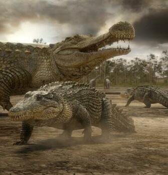 Sarcosuchus Imperator Prehistoric Park