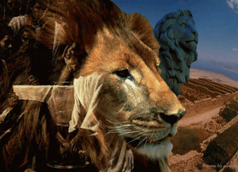Lion Of Judah Wallpaper