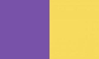 Royal Purple And Yellow Solid Two Color Background