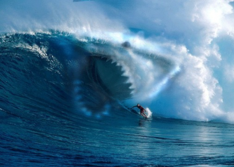 Great White Shark Image For Your Desktop Blaberize