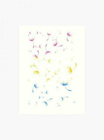 Dandelion Seeds Pansexual Pride White Background Art Print By